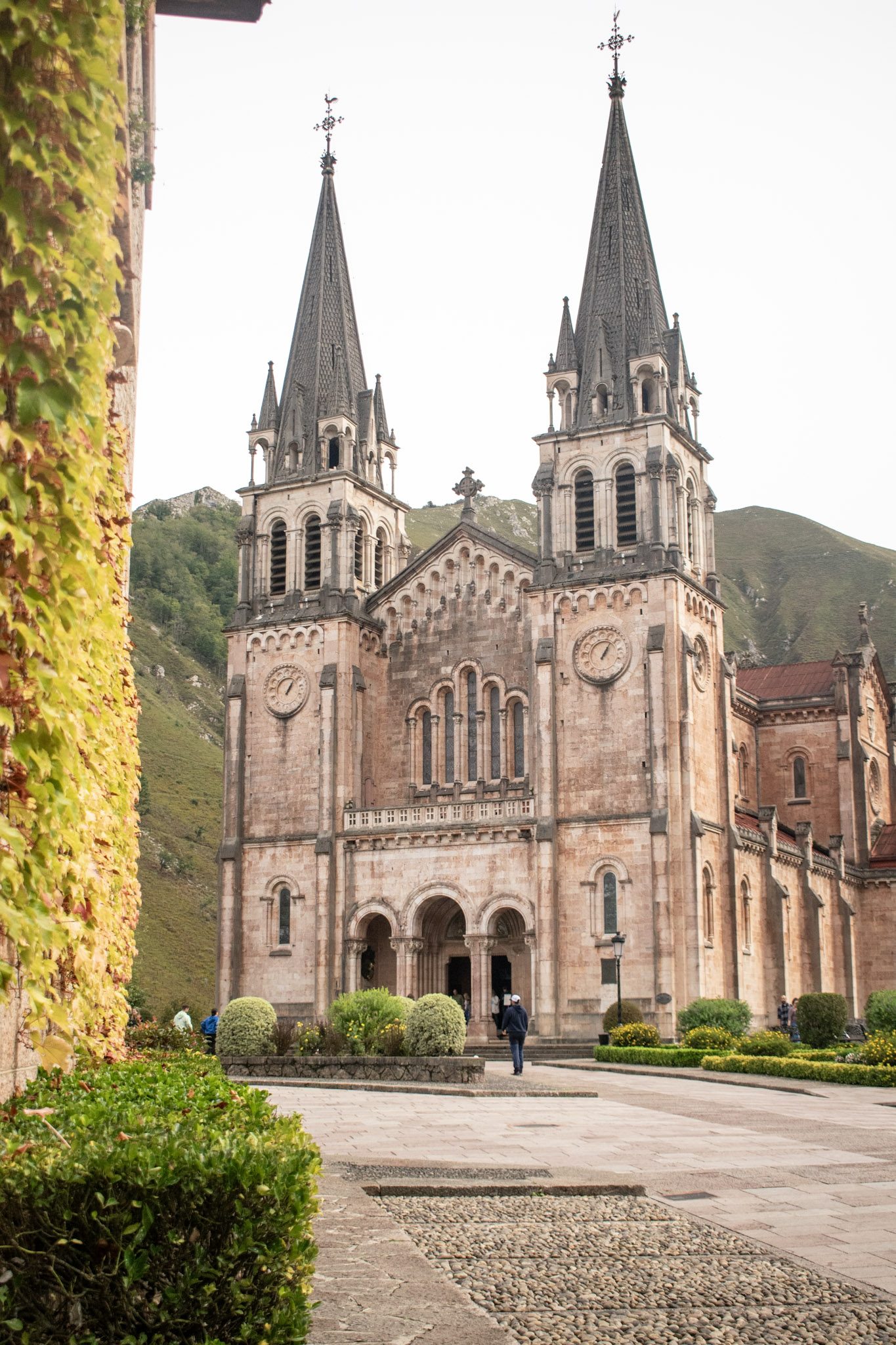 Costa Verde Express — Covadonga