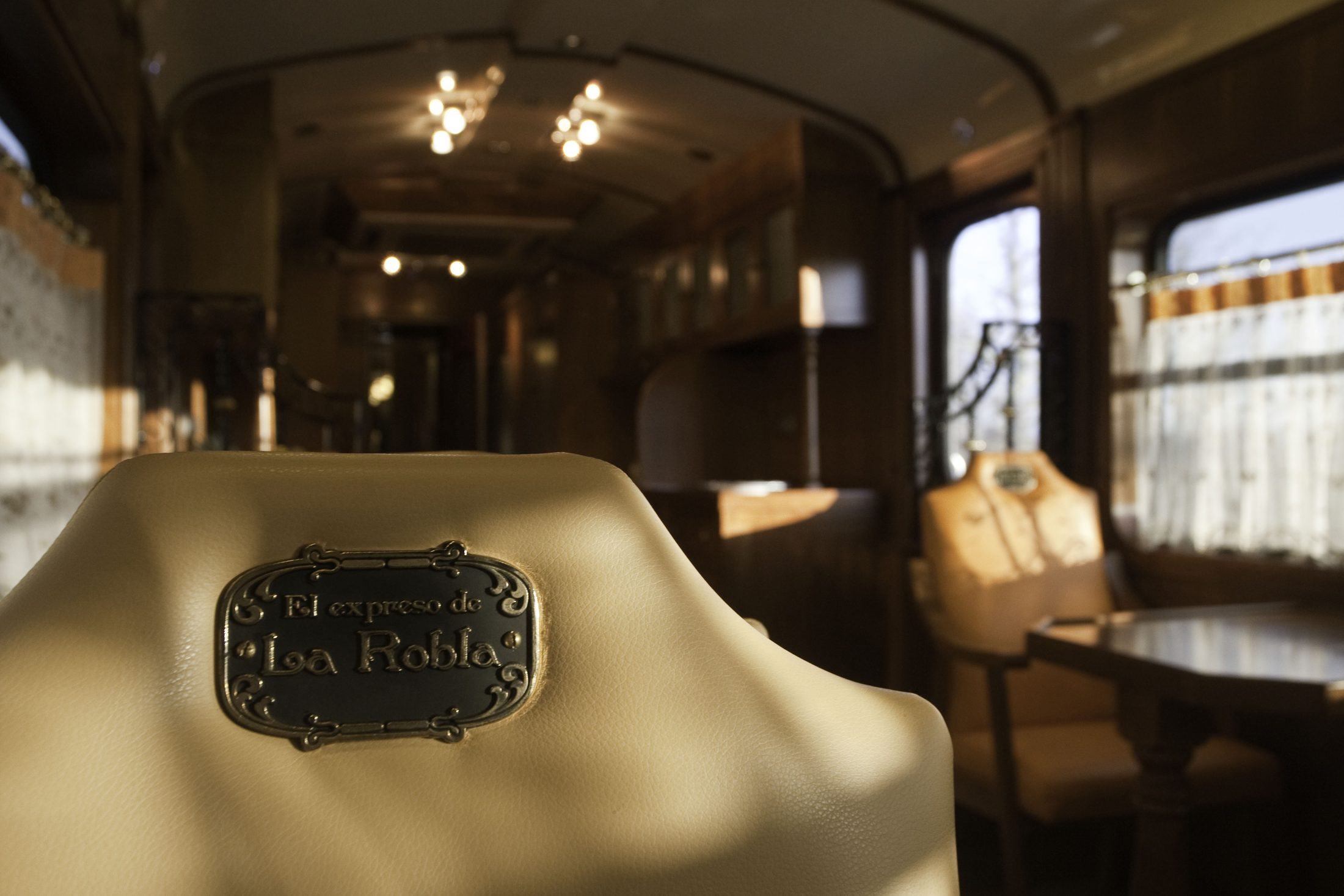 El Expreso de La Robla — Detail lounge