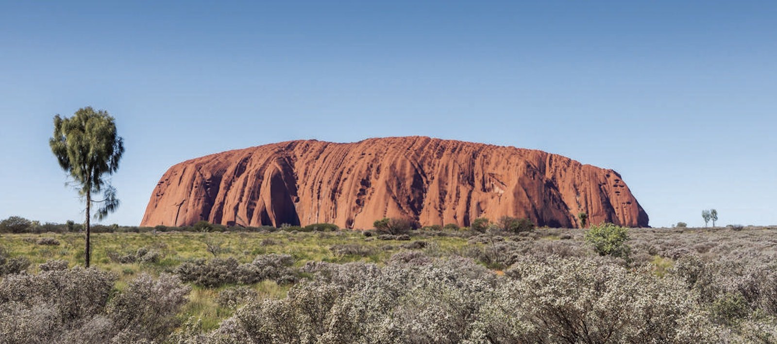 The Ghan