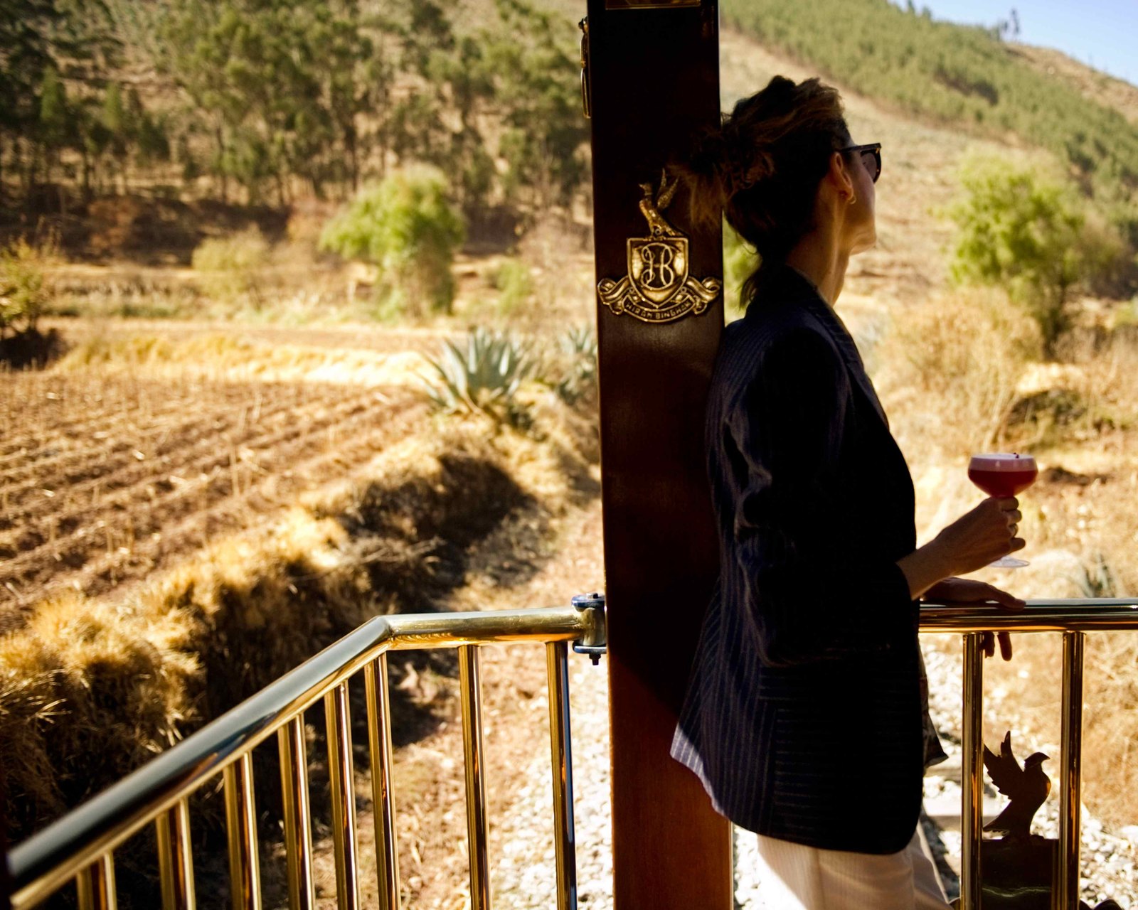 Hiram Bingham, A Belmond Train - observation car
