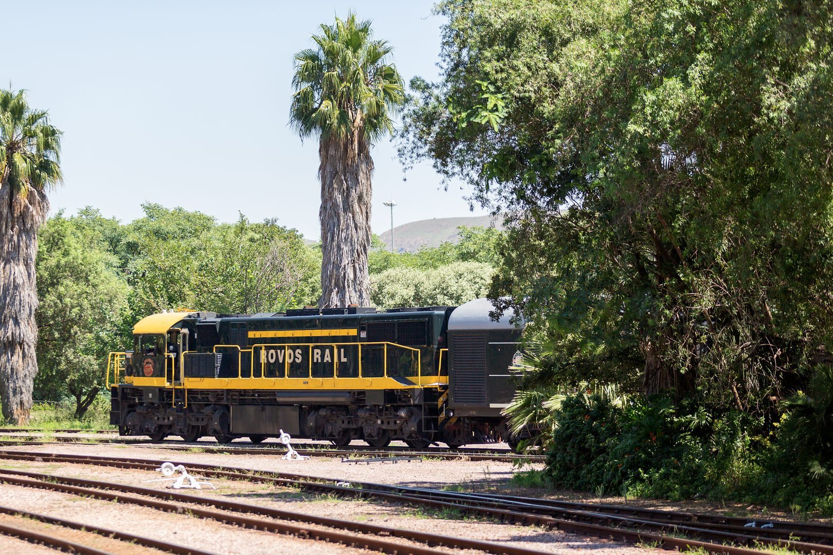 Pride of Africa — Rovos Rail: Diesel